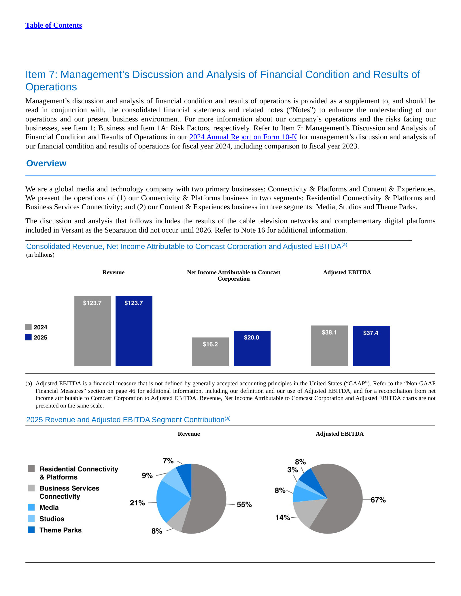 Consolidated revenue, net income and Adjusted EBITDA plus 2025 segment contribution charts.